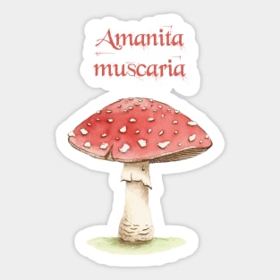 amanita muscaria - fly agaric Sticker